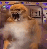 AAAAAAAAAAAAAA