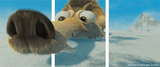 smellrat