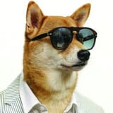 dogesuit