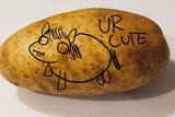 tater
