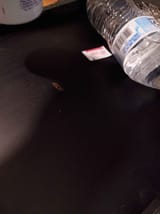 IMG_20250802_004713408