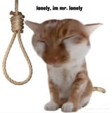 itsovERcatnoose