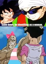 1742294763136671