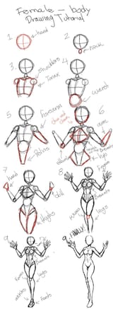 How to draw females
