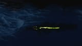 enb 2021_08_28 17_20_13_95