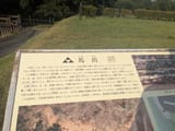 PXL_20250802_075625780