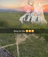 1732641737923565