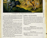 paladin orders