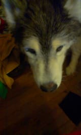 IMAG0284