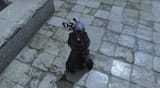 ffxiv_dx11 2025-07-29 01-28-50