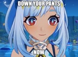 a206pp