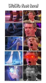 wuwa_feet
