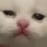 e1