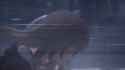 1706148908273_thumb.jpg
