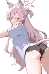 3e91d2496b81a188f8210ebab313fcd3