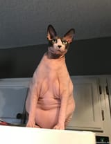 965765756