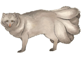 1754149734513934.png