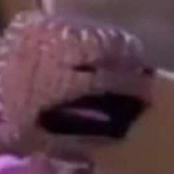 spunkerd