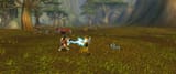 WoWScrnShot_080225_091634