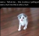 1753475008395677