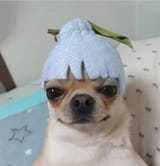 1749852710557914