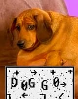 D0GG0