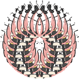 1739620612345085