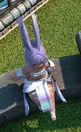 ffxiv_dx11_rgypIr_02-08-202527