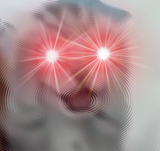 khjkgfjkf