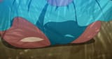 shionass