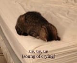 ue ue