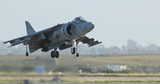 harrier