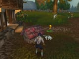 WoWScrnShot_071025_142420.tga