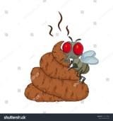 stock-vector-cartoon-poop-shit-and-flys-isolated-on-white-background-1121179865