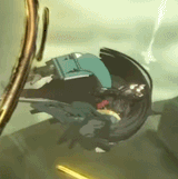 anigif
