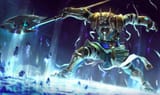 nasus