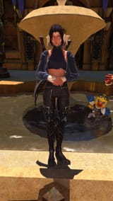 ffxiv_dx11_2025-02-03_19-03-48
