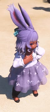 ffxiv_dx11_CuF8CJ_02-08-202519
