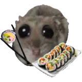 1738281768423857