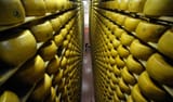 090821-cheese-hmed445p