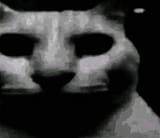 1747983049181089