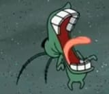 plankton
