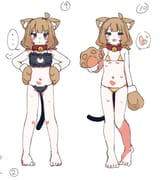cropped_2024 8 11.png.webp