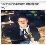 1658245593943341
