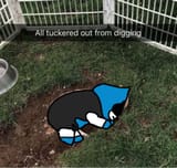 KNPk5Ch