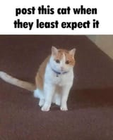 FB_IMG_1642977854058