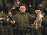 kosovo kot