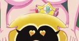 goo daisy crop