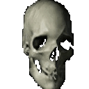 1735244196397033