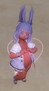 ffxiv_dx11_zZrPbo_02-08-202552